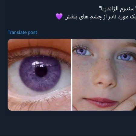  عکس بنفش لاکچری