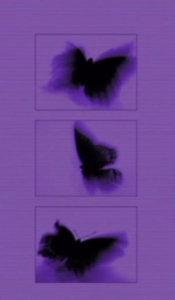  عکس بنفش لاکچری