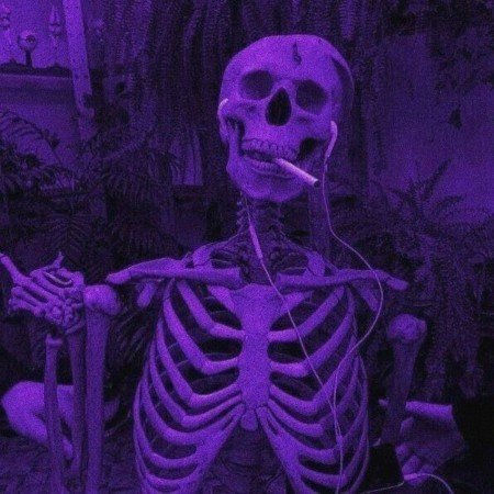  عکس بنفش لاکچری