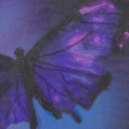  عکس بنفش برای پروفایل