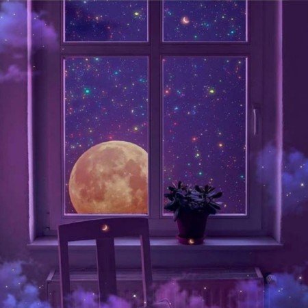  عکس بنفش برای پروفایل