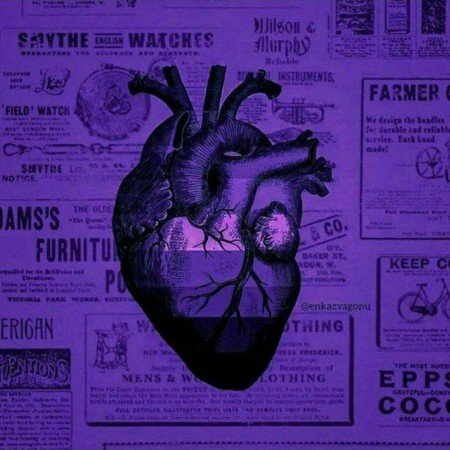  عکس بنفش برای پروفایل