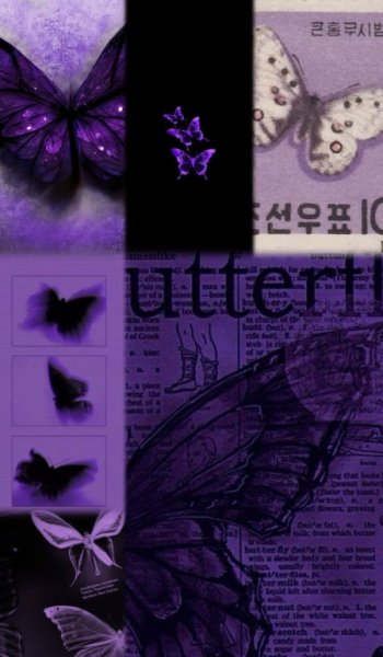  عکس بنفش برای پروفایل