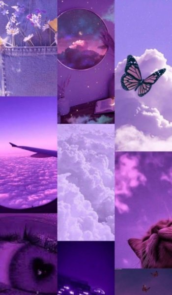  عکس بنفش برای پروفایل