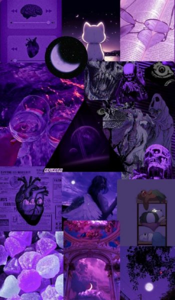  عکس بنفش برای پروفایل