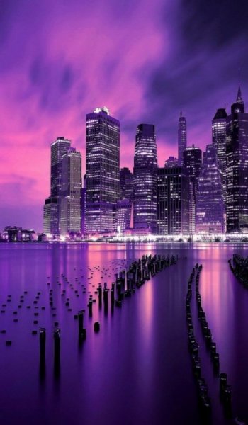  عکس بنفش برای پروفایل