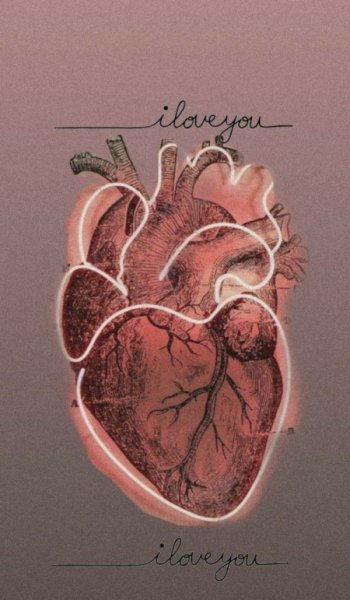  عکس بنفش برای پروفایل