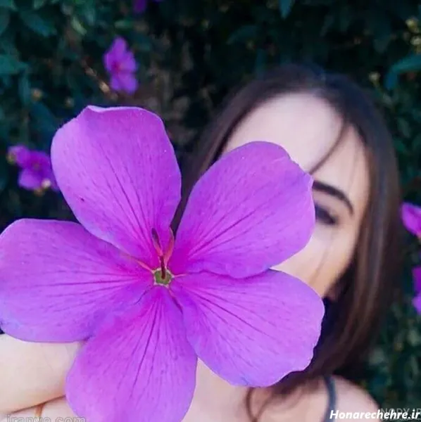  عکس پروفایل بنفش عاشقانه