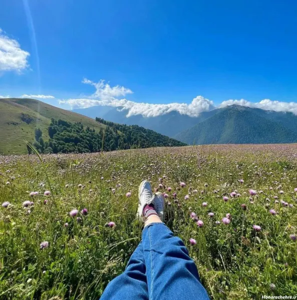  عکس پروفایل دخترونه بنفش لاکچری