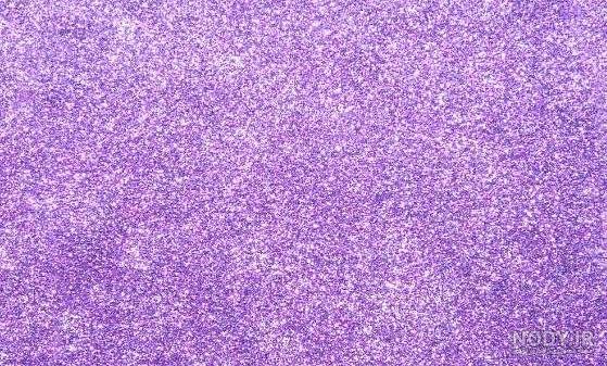  عکس بنفش ساده