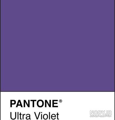  عکس بنفش ساده