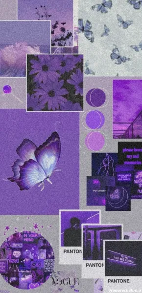  عکس بنفش کیوت ساده