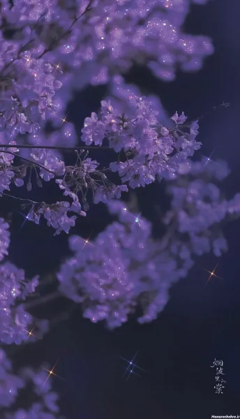  عکس بنفش کیوت ساده