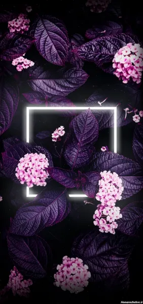  عکس بنفش کیوت ساده