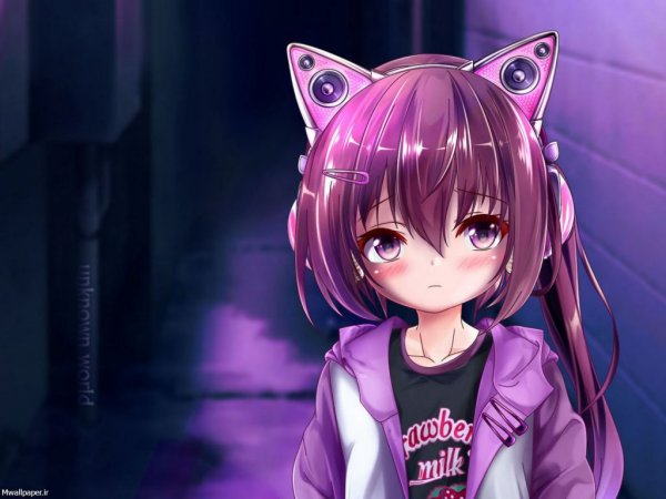  عکس بک گراند بنفش ساده