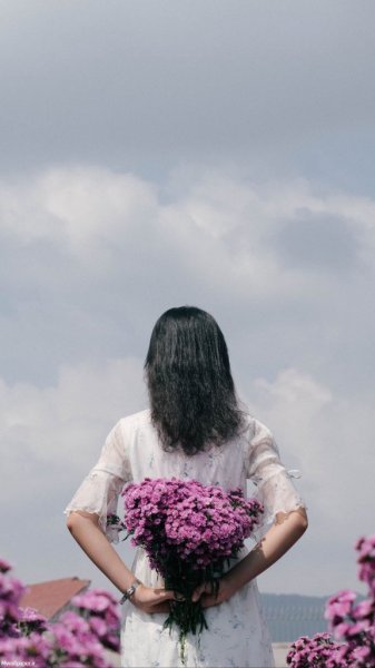  عکس بک گراند بنفش ساده