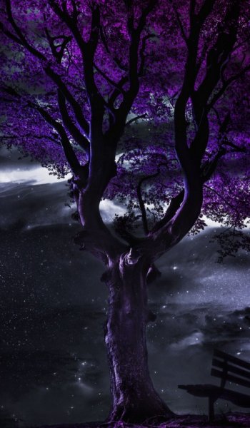  عکس بک گراند بنفش پاستلی