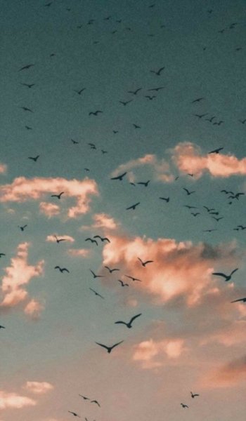  عکس بک گراند بنفش پاستلی