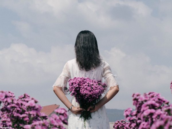  عکس بک گراند بنفش شاخ