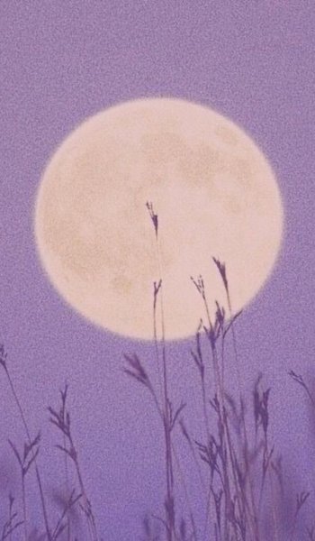  عکس بک گراند بنفش اکلیلی