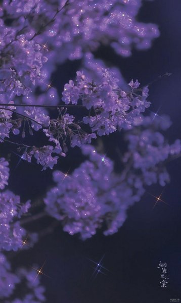  عکس کیوت بنفش دخترانه