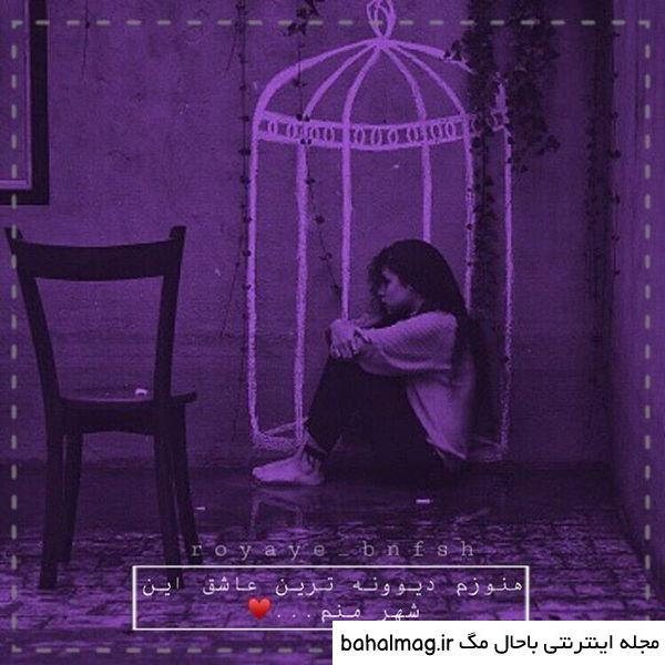  عکس کیوت بنفش دخترانه