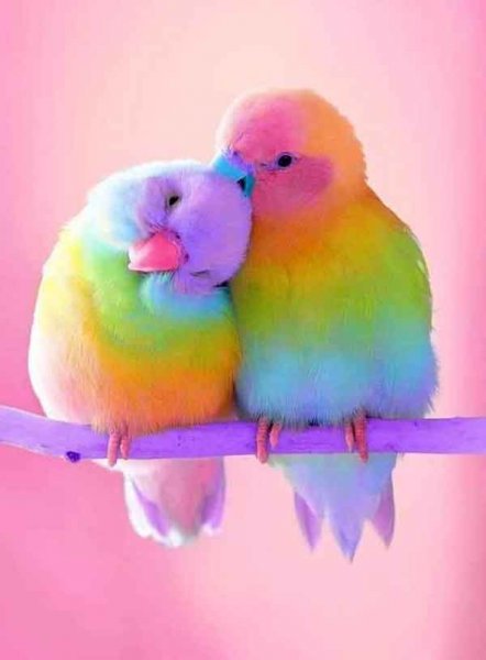  عکس کیوت فانتزی گوگولی دخترانه