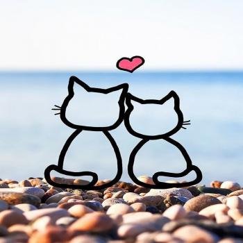  عکس پروفایل کارتونی خفن دخترانه