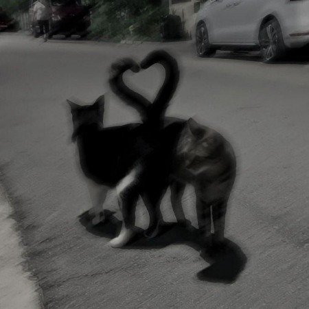  عکس انیمه دخترانه فانتزی