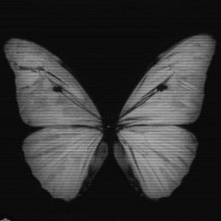  عکس انیمه دختر شیطان