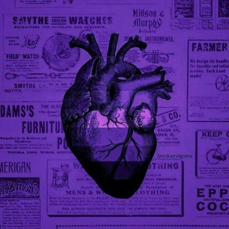  عکس کیوت بنفش برای پروفایل