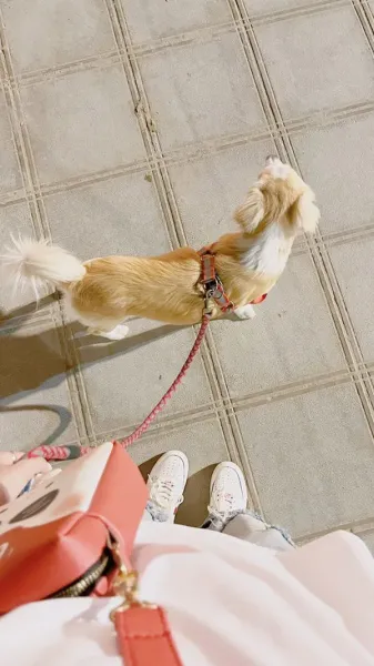  عکس فانتزی برای پروفایل