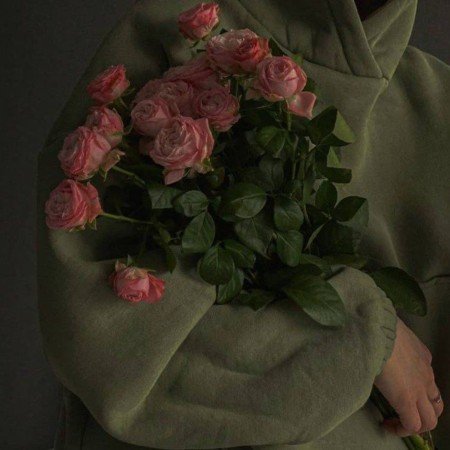 عکس انیمیشن های معروف دخترانه