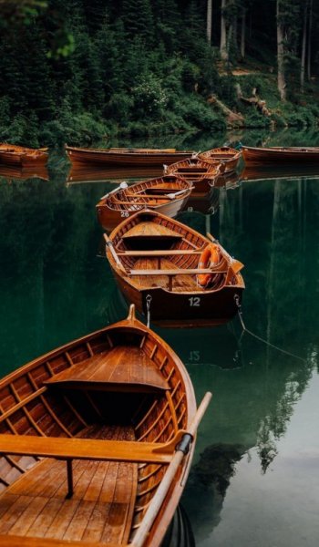  عکس انیمیشن های جدید با اسم