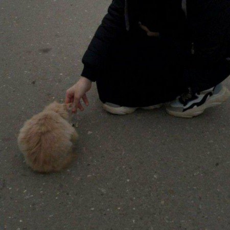  عکس پروفایل کره ای فانتزی