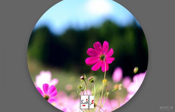  110 عکس پروفایل اینستاگرام خفن