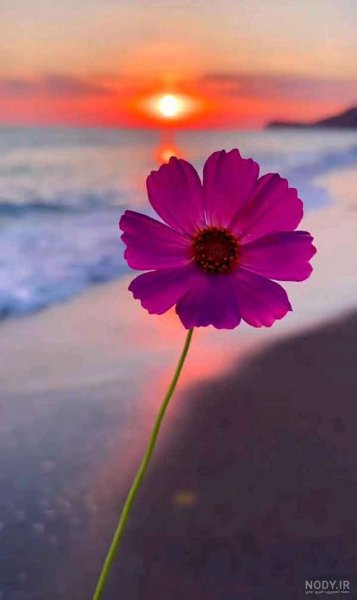  110 عکس پروفایل اینستاگرام خفن