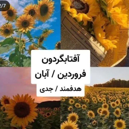  عکس دختر استقلالی خفن