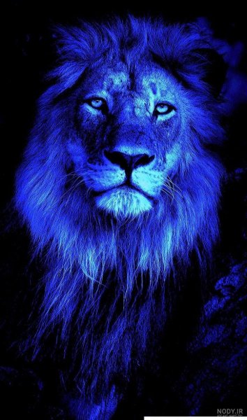  عکس شیر استقلال و پرسپولیس