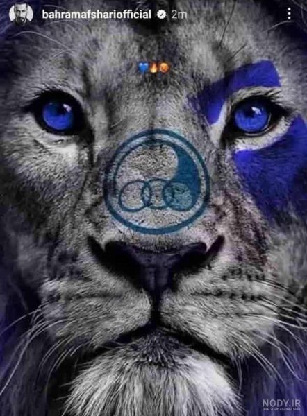  عکس شیر استقلال و پرسپولیس