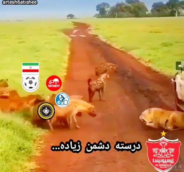  عکس شیر پرسپولیس با تاج