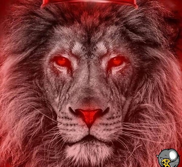 عکس شیر پرسپولیس با تاج