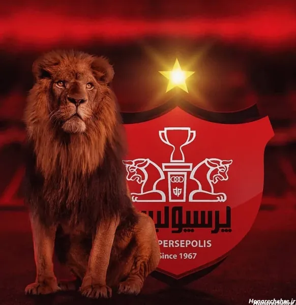 عکس پرسپولیس شیر خفن