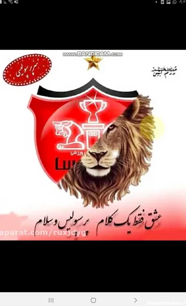  عکس پرسپولیس شیر خفن