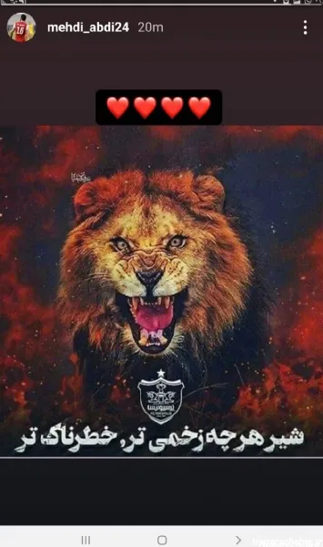  عکس پرسپولیس شیر خفن