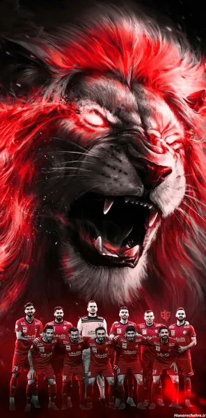  عکس پرسپولیس شیر خفن