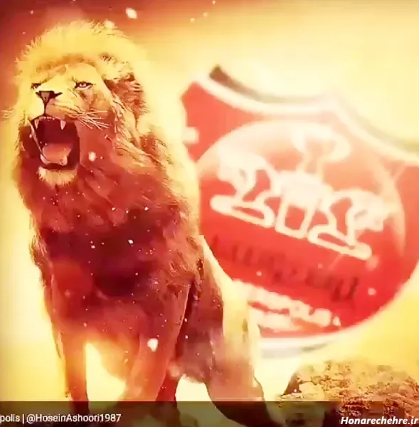  عکس پرسپولیس شیر خفن