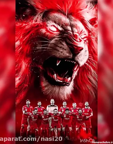  عکس شیر پرسپولیس جدید