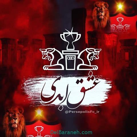  عکس پرسپولیس برای استوری