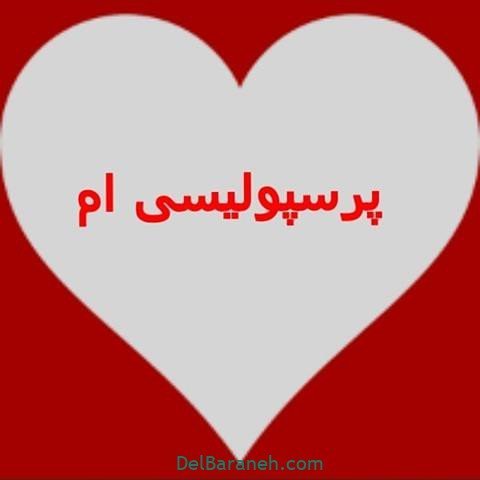  عکس پرسپولیس برای استوری